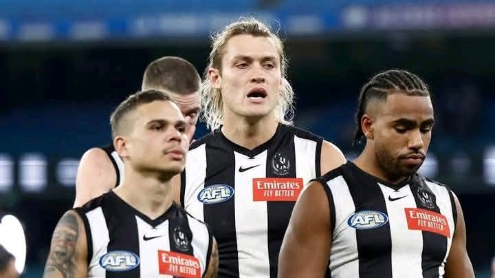Sad News: Collingwood’s Premiership Hopes Take a Hit as Three Key Players Ruled Out Due to…..